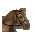 Pony